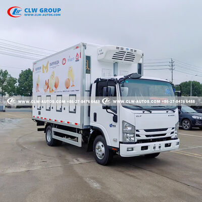 Isuzu KV100 4.2-Meter Insulated Chick Transport Truck with Precision Temperature Control and Hydraulic Tailgate